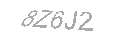 Güvenlik Kodu
