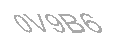 Güvenlik Kodu