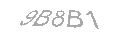 Güvenlik Kodu