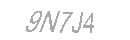 Güvenlik Kodu