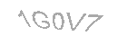 Güvenlik Kodu