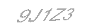 Güvenlik Kodu