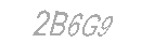 Güvenlik Kodu