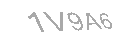 Güvenlik Kodu
