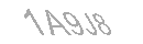 Güvenlik Kodu