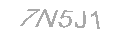 Güvenlik Kodu