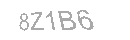 Güvenlik Kodu
