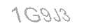 Güvenlik Kodu