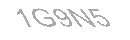 Güvenlik Kodu