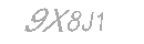 Güvenlik Kodu