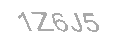 Güvenlik Kodu