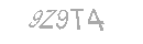 Güvenlik Kodu