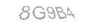Güvenlik Kodu