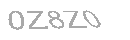 Güvenlik Kodu