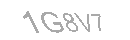 Güvenlik Kodu