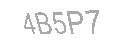 Güvenlik Kodu