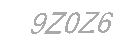 Güvenlik Kodu