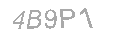 Güvenlik Kodu