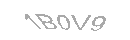 Güvenlik Kodu