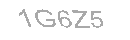 Güvenlik Kodu