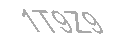 Güvenlik Kodu