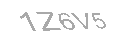 Güvenlik Kodu
