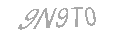 Güvenlik Kodu