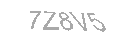 Güvenlik Kodu