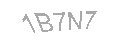 Güvenlik Kodu