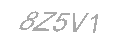 Güvenlik Kodu