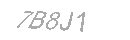 Güvenlik Kodu
