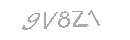 Güvenlik Kodu
