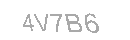 Güvenlik Kodu