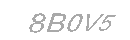 Güvenlik Kodu