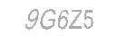 Güvenlik Kodu