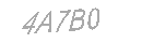 Güvenlik Kodu