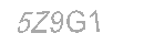 Güvenlik Kodu
