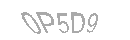 Güvenlik Kodu