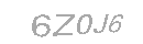 Güvenlik Kodu