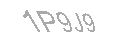 Güvenlik Kodu
