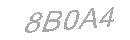 Güvenlik Kodu
