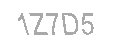 Güvenlik Kodu