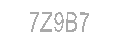 Güvenlik Kodu