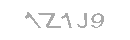 Güvenlik Kodu