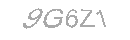 Güvenlik Kodu