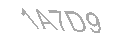 Güvenlik Kodu