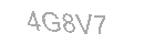 Güvenlik Kodu