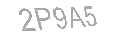 Güvenlik Kodu