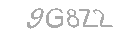 Güvenlik Kodu