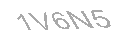 Güvenlik Kodu